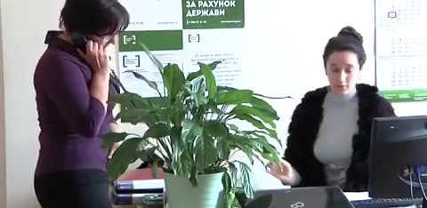 Де можна отримати безоплатну правову допомогу на Житомирщині?