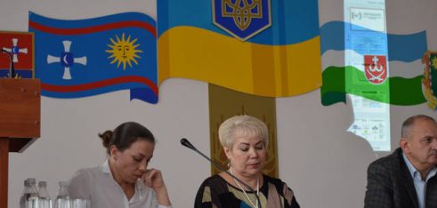 Про шляхи співпраці центрів з надання БВПД з органами місцевого самоврядування говорили під час семінару на Вінниччині
