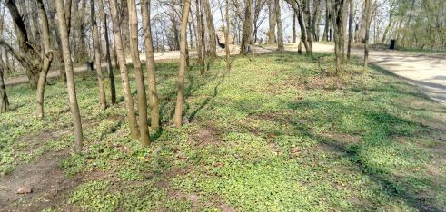 Працівники Регіонального центру з надання БВПД у Львівській області провели весняну толоку