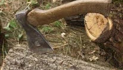 Правові аспекти відповідальності за пошкодження лісів