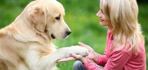 Правила утримання домашніх тварин