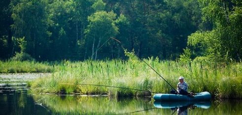 Риболовля без порушення закону: що потрібно знати рибалкам та орендарям водойм