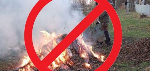Правові наслідки спалювання сухої рослинності
