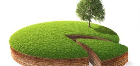 Як безоплатно отримати земельну ділянку