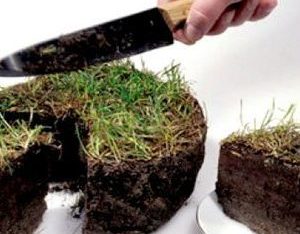 Відповідальність за самовільне зайняття земельної ділянки