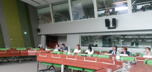 У Страсбурзі пройшла зустріч керівного комітету спільного проекту ЄС та Ради Європи, участь у якому взяли українські правники