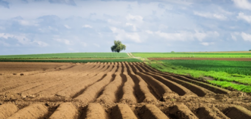 Нюанси при укладенні договору оренди землі