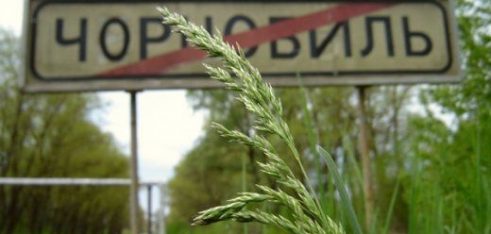 Про пільги чорнобильцям: доплати особам,  які працюють у зоні відчуження