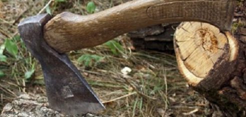 Кримінальна та адміністративна відповідальність за незаконну порубку дерев (лісу).