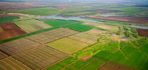 Земельна просвіта: результати піврічної співпраці Світового банку та системи БПД