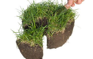 Порядок отримання земельної ділянки