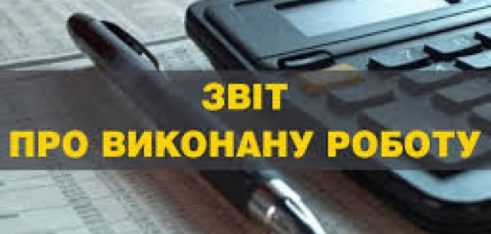 Публічний звіт фахівців системи БПД Херсонської області за 2018 рік