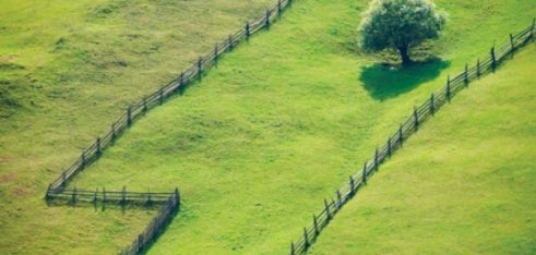 Як поновити право на земельну частку?