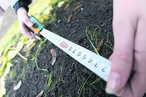 Добросусідство: зміст та правила