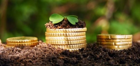 Особливості оренди земельної ділянки