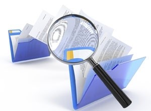 Перевірено роботу Вижницького місцевого центру з надання БВПД