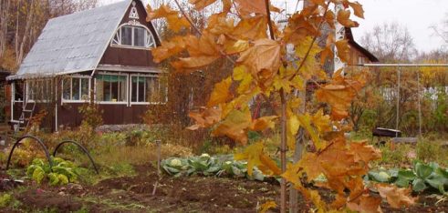 Проблеми спадкування за відсутності деяких документів