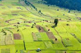 Порядок обміну земельними ділянками за схемою «пай на пай»