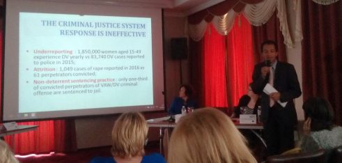 Практика кримінального правосуддя і насильство щодо жінок в Україні: експертна оцінка та рекомендації