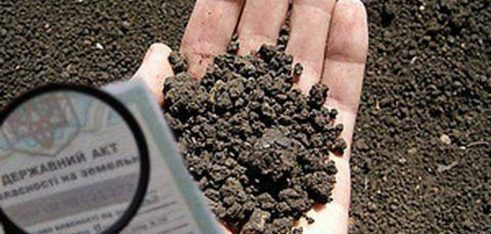 Особливості виділення земельних часток (паїв)