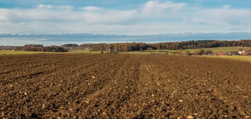 Зміни у земельному законодавстві: використання та міна землями у масиві
