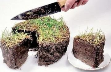 Адвокат із Чернігівщини допоміг чоловіку визнати його право на земельну частку (пай)