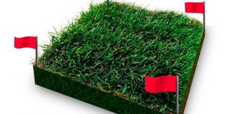 Деякі правові аспекти добросусідства