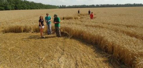 Завдяки активній позиції фахівців Рівненського МЦ 33 селянам одним рішенням суду повернуто землю захоплену рейдерами