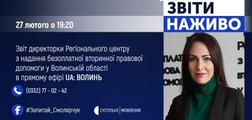 Звіт Регіонального центру з надання БВПД у Волинській області за 2019 рік