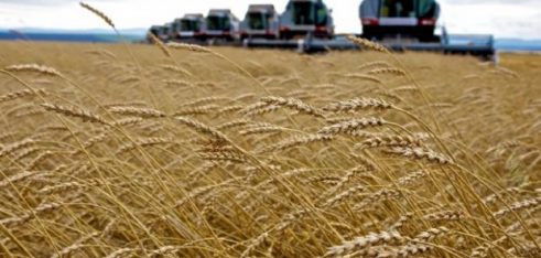 Виїзд мобільних груп операторів в Тетіївську міську ОТГ