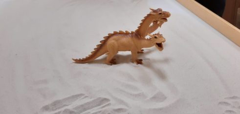 У місті Дніпро є все необхідне, щоб постраждалі від домашнього насильства отримували якісну допомогу якнайшвидше – результати проекту