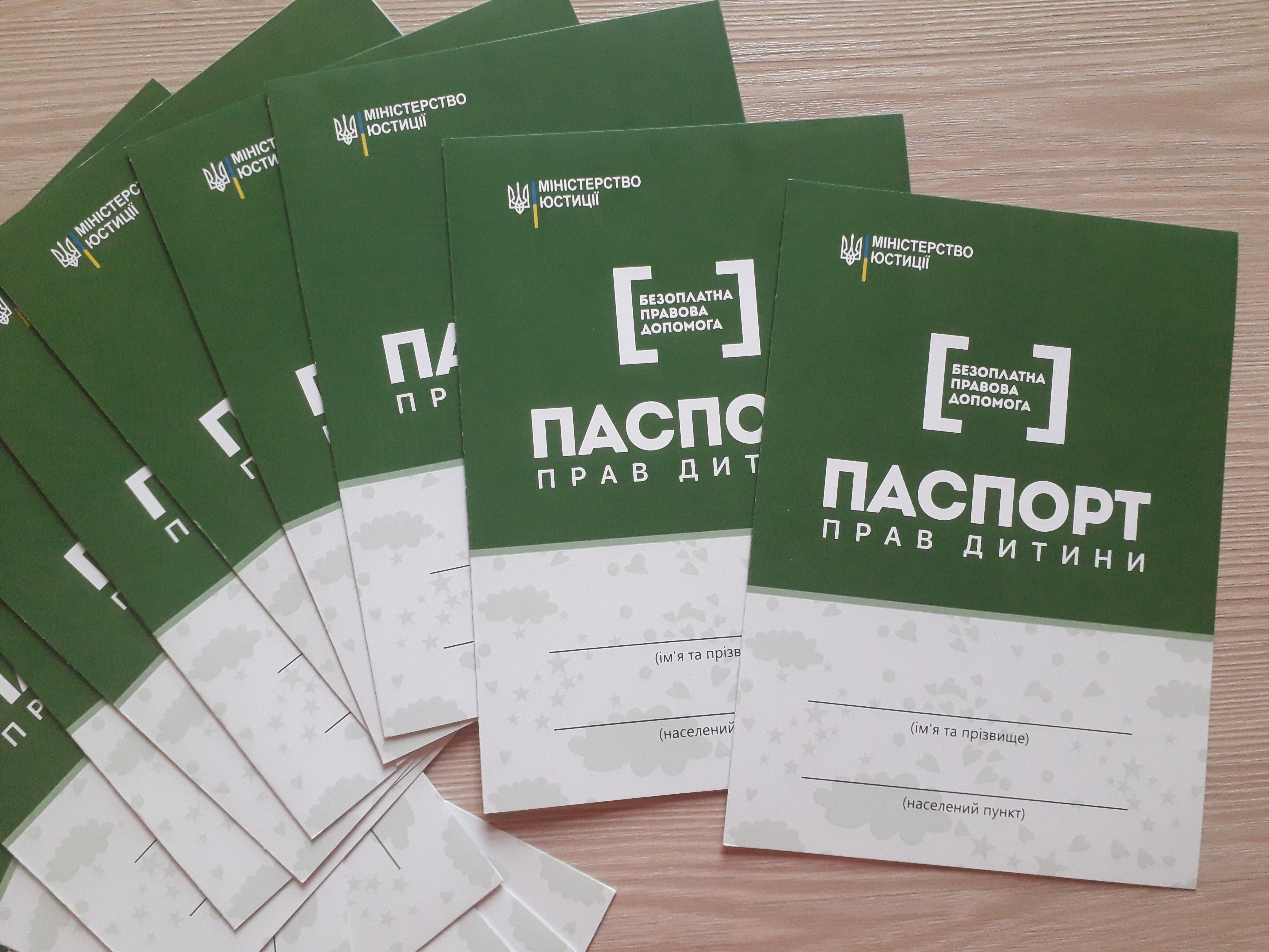 30.05.2019   Proekt (1)