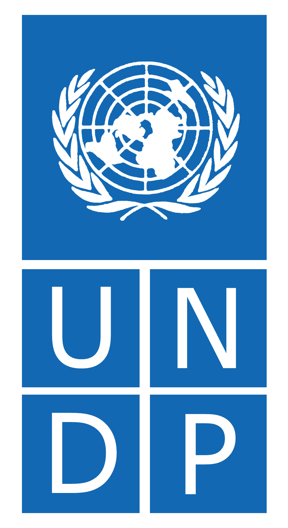 logo UNDP-COLOUR